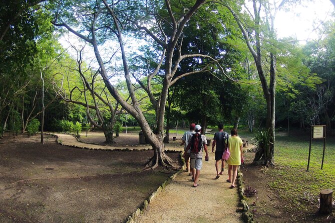 Private Birdwatching Tour in Sian Ka'an Muyil - Muyil village: three hours of birds and local life