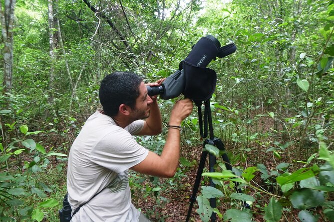 Private Birdwatching Tour in Sian Ka'an Muyil - Food, water, and what to bring