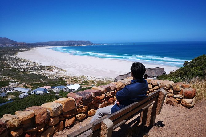 Private Cape of Good Hope and Penguins tour from Stellenbosch. - Boulders Beach and the African penguins