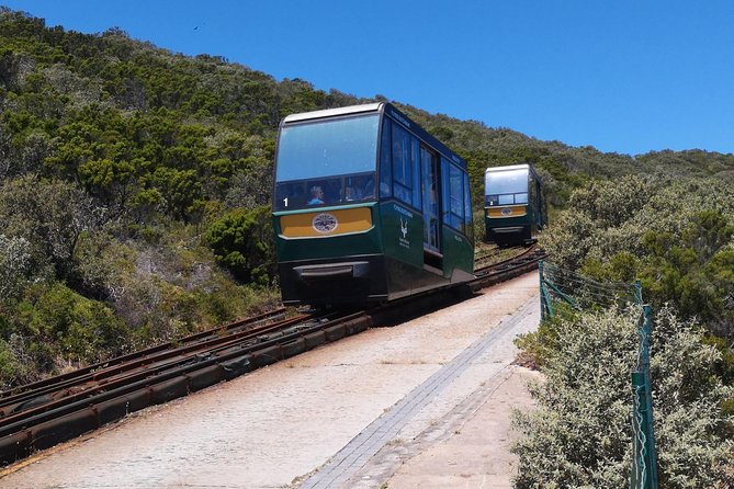 Private Cape of Good Hope and Penguins tour from Stellenbosch. - Maidens’ Cove and Camps Bay photographs