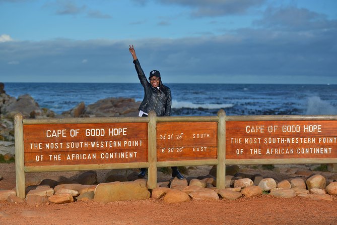 Private Cape of Good Hope and Penguins Tour with Luxury Mercedes or BMW Vehicle - A private start from Cape Town