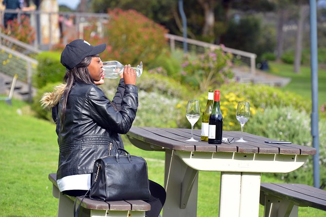 Private Cape of Good Hope and Penguins Tour with Luxury Mercedes or BMW Vehicle - Simon’s Town and the African penguins