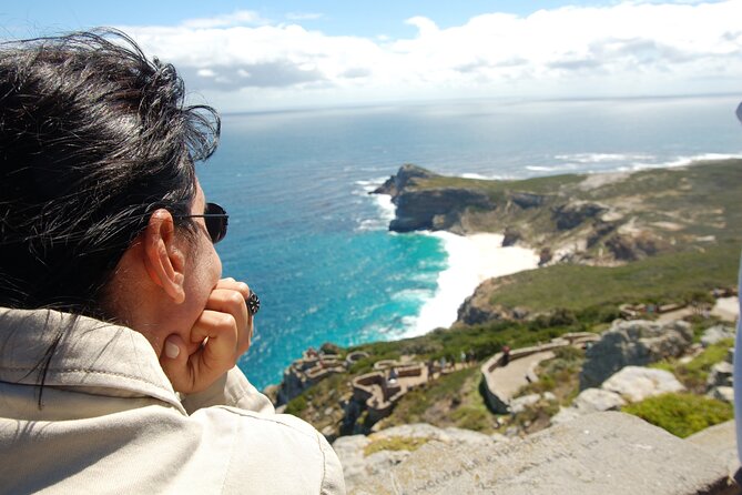 Private Cape of Good Hope and Penguins Tour with Luxury Mercedes or BMW Vehicle - Hout Bay, seals, or local crafts