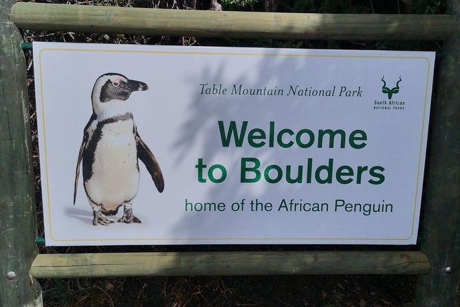 Private Cape of Good Hope Cape Point Penguin Kirstenbosch Tour. - Ostriches and the road toward Cape Point