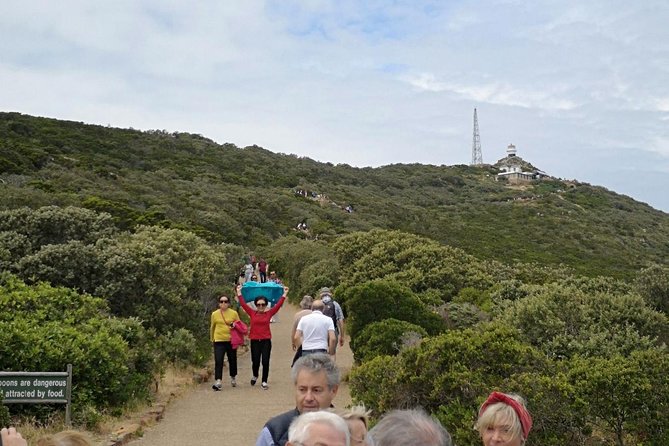 Private Cape of Good Hope Cape Point Penguin Kirstenbosch Tour. - Kirstenbosch for plants and breathing room
