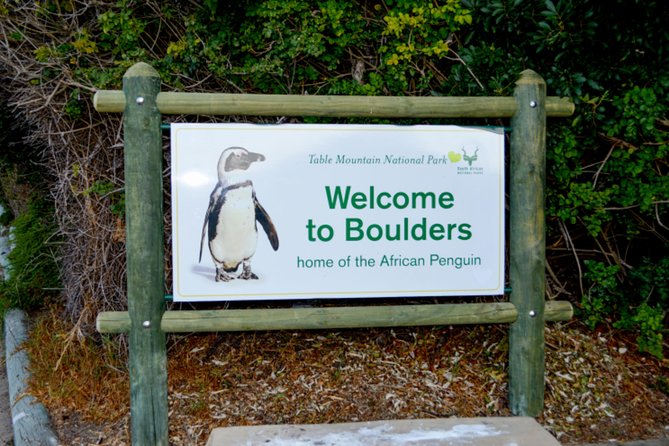 Private Cape of Good Hope Sightseeing and African Penguin Tour - Hout Bay, seals, and the first optional expense