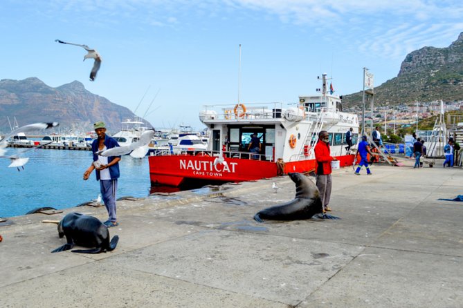 Private Cape of Good Hope Sightseeing and African Penguin Tour - Chapmans Peak Drive is the scenic centerpiece