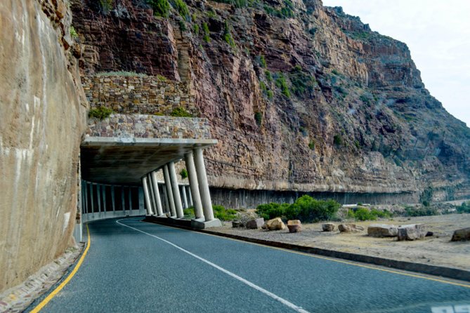 Private Cape of Good Hope Sightseeing and African Penguin Tour - From Noordhoek to the Cape Point reserve
