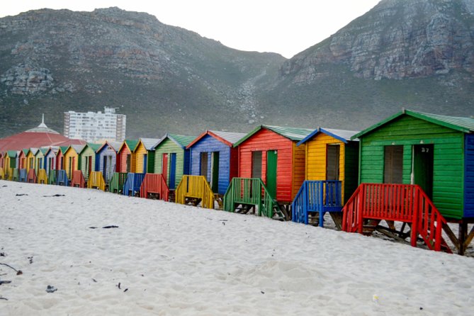 Private Cape of Good Hope Sightseeing and African Penguin Tour - Boulders Beach and the African penguins