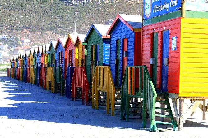 Private Cape Peninsula Tour, With Close Range Penguin Encounter From Cape Town. - The Boulders Beach penguin encounter