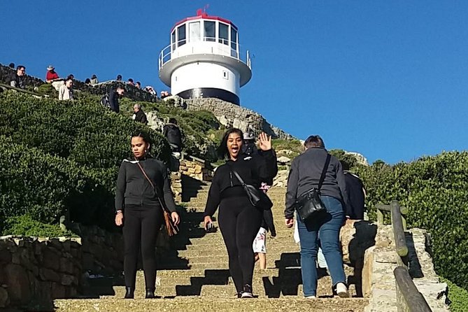 Private Cape Point Penguins Tour-Exploring the Cape Peninsula F/D - Chapman’s Peak is the scenic heart of the route