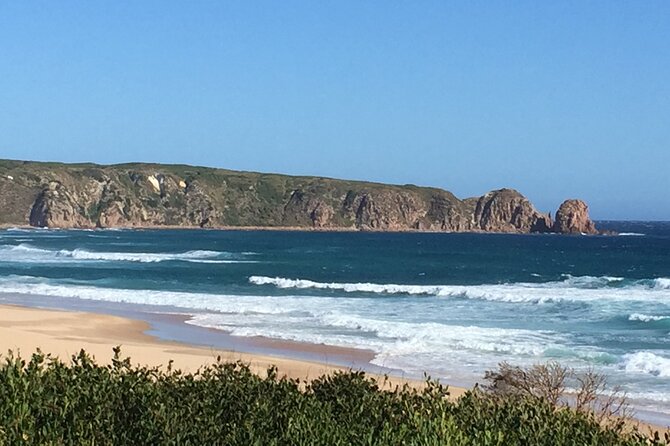 Private custom Tour of Phillip Island With Penguin Parade - The Nobbies and Summerlands Peninsula
