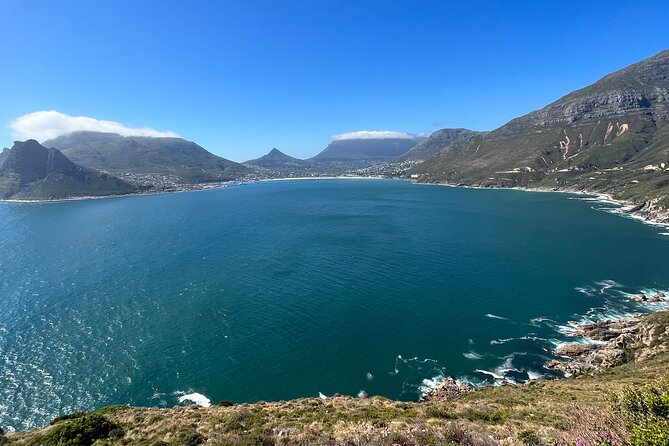 Private/Customised Cape Peninsula and Penguin Colony Tour - Timing, comfort, and the shape of the day