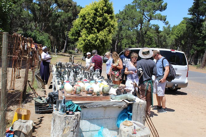 Private Day Tour to Cape of Good Hope Penguins Inc Entry Tickets from Cape Town - Why this private Cape Town day tour works