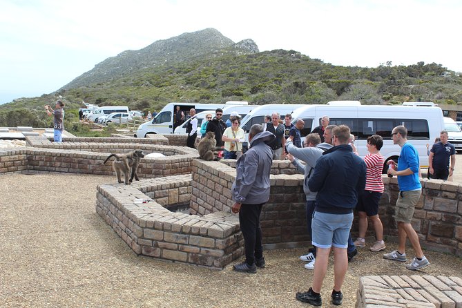 Private Day Tour to Cape of Good Hope Penguins Inc Entry Tickets from Cape Town - Ostriches and Cape Point Nature Reserve