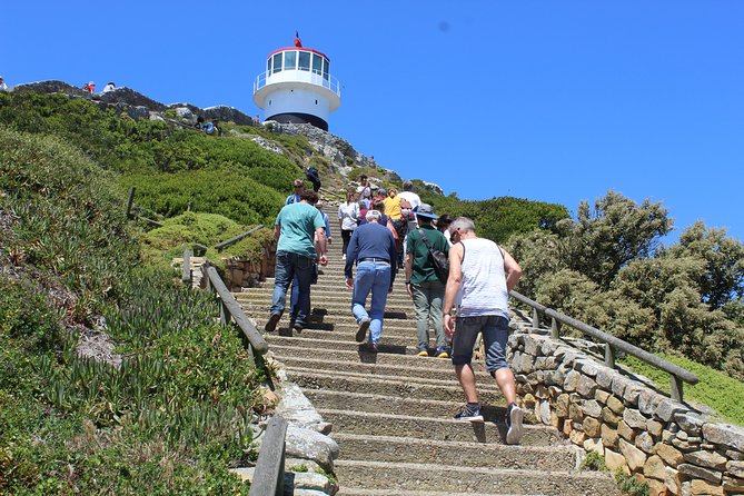 Private Day Tour to Cape of Good Hope Penguins Inc Entry Tickets from Cape Town - Hout Bay and Chapman’s Peak: fish, seals, and a famous road