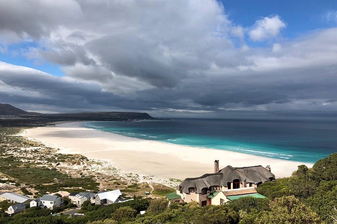 Private Day Tour to Cape Point , Penguins, Wine or Beer Tasting - Chapmans Peak Drive and Noordhoek Beach