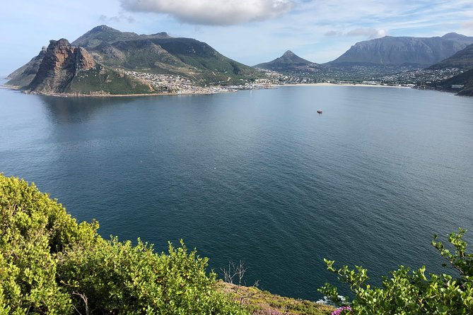Private Day Tour to Cape Point , Penguins, Wine or Beer Tasting - Cape of Good Hope: big scenery, limited time