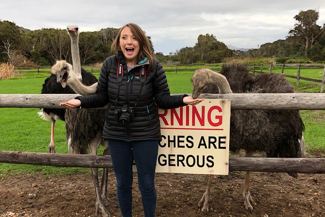Private Day Tour to Cape Point , Penguins, Wine or Beer Tasting - A playful pause at the ostrich farm