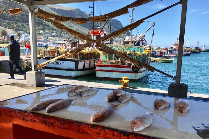 Private Day Tour to Cape Point , Penguins, Wine or Beer Tasting - Cape Point lighthouse and the funicular choice