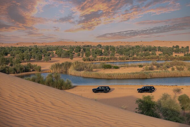 Private Falconry Experience and Nature Desert Safari in Dubai - Who Should Book This Falconry Experience?