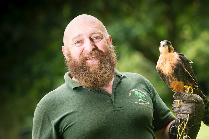 Private Family Bird of Prey Experience in Carlisle - Quick reasons to book this Carlisle experience