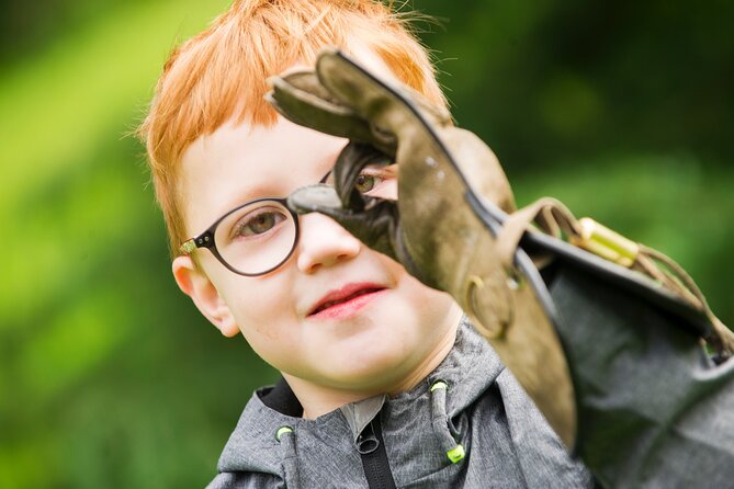 Private Family Bird of Prey Experience in Carlisle - Why the private format matters for families
