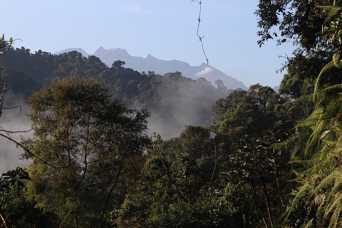 Private Full-Day Mindo Cloud Forest,Butterfly Farm, Chocolate Tour bird watching - Crossing the Mindo River by cable car