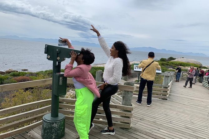 Private Full Day Tour To Cape Point, Penguins With Table Mountain. - Why this private Cape Town day works