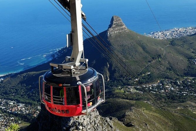 Private Guided Tour to Table Mountain and Cape Point with Penguin - Key points to know before booking