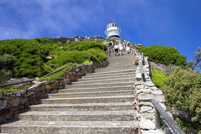 Private Guided Tour to Table Mountain and Cape Point with Penguin - Boulders Beach is the wildlife highlight