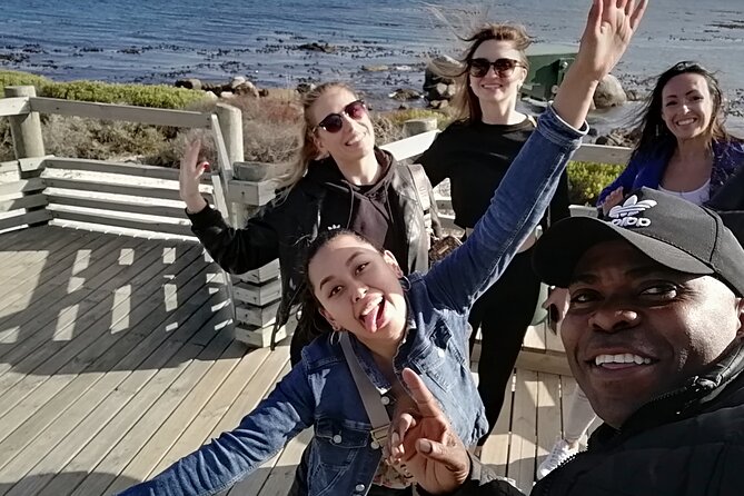 Private lovely journey to Penguins-Cape point-Cape of good hope - Why this private Cape Peninsula route works