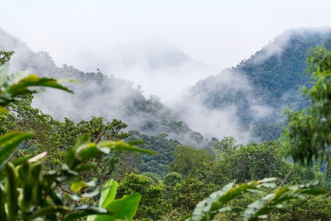 PRIVATE Mindo Cloud Forest tour - Key points to know before booking