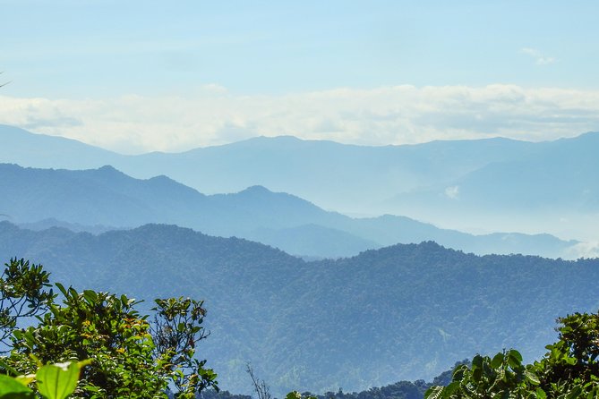 PRIVATE Mindo Cloud Forest tour - Nambillo Cloud Forest Reserve and the waterfall walk