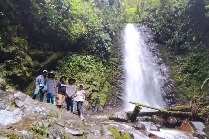 PRIVATE Mindo Cloud Forest tour - Butterflies, coffee, and the small town of Mindo