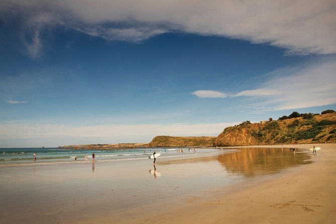 Private Phillip Island Penguin Parade Tour - The Penguin Parade is the main event