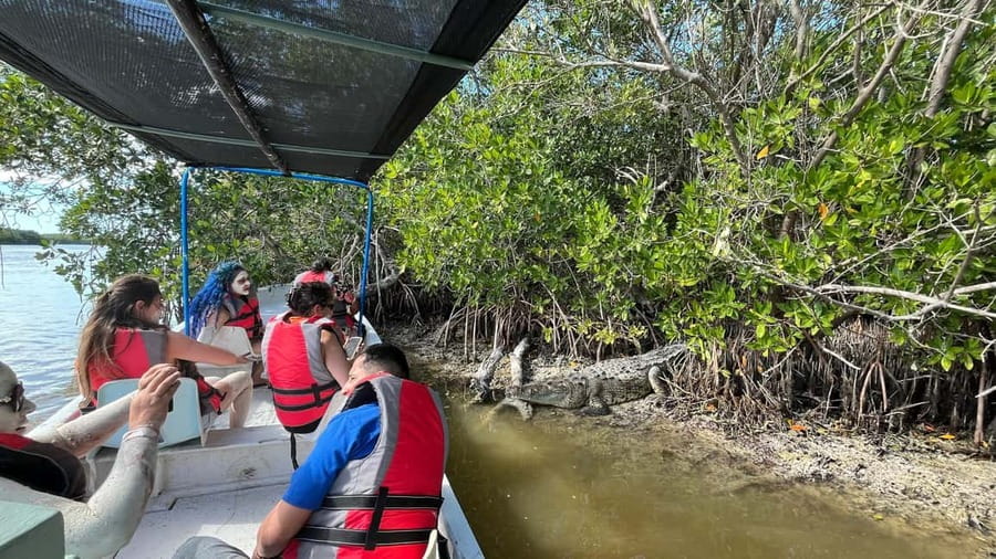 Private Ría Lagartos Boat Tour: Flamingos & Crocodiles - Key points to know before you go