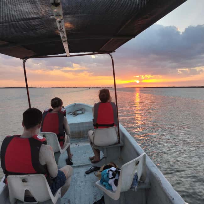 Private Ría Lagartos Boat Tour: Flamingos & Crocodiles - Mangrove channels, birdlife, and the search for crocodiles