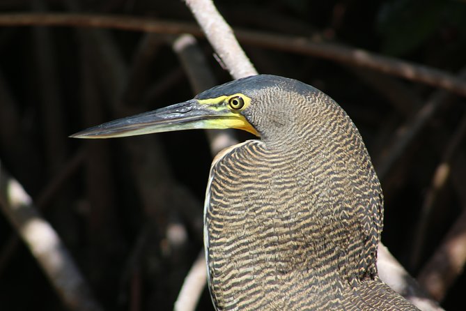 Private Rio Lagartos Flamingo and pink lakes - Who will enjoy this full-day outing