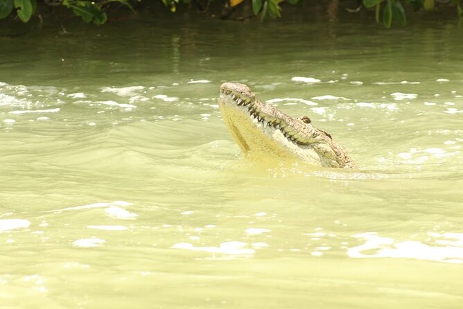 Private Rio Lagartos Flamingo and pink lakes - Weather, cancellation, and booking timing