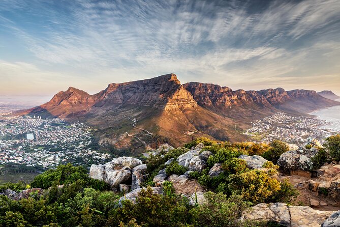 Private Table Mountain Penguins & Cape Point Tour from Cape Town - How much value do you get for $170?