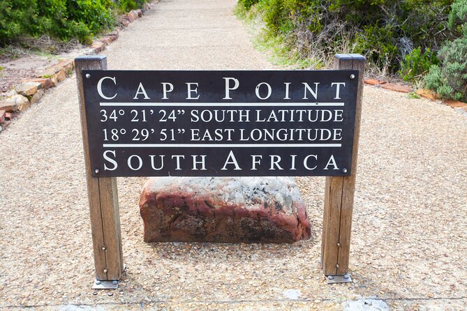 Private Table Mountain Penguins & Cape Point Tour from Cape Town - Table Mountain first, while the day is still young