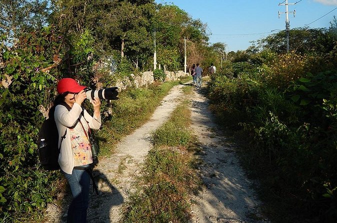 Private Tour: Birdwatching Cozumel Island - The value of the $165 price