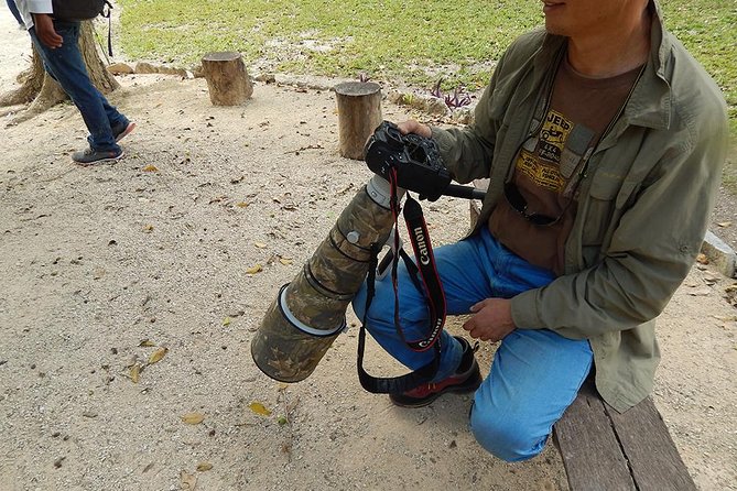 Private Tour: Birdwatching from Cancun - From your hotel to Puerto Morelos
