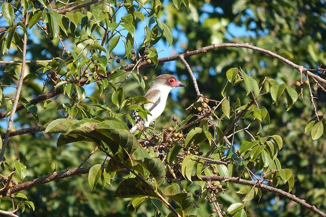 Private Tour: Birdwatching from Cancun - What the private setup changes