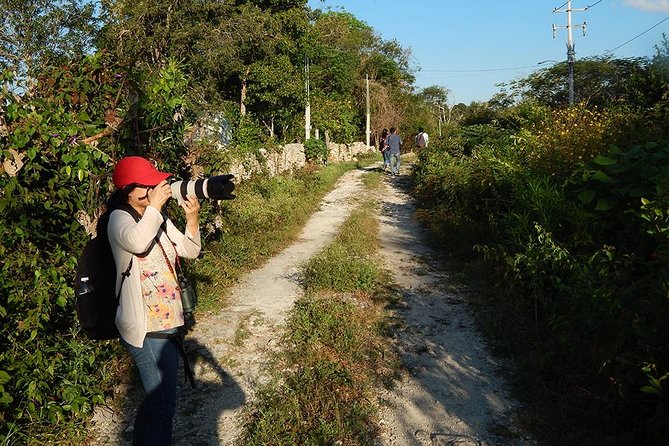 Private Tour: Birdwatching from Cancun - Food, binoculars, and what to bring