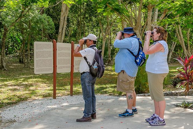 Private Tour: Birdwatching Playa del Carmen - What Carlos adds to the walk
