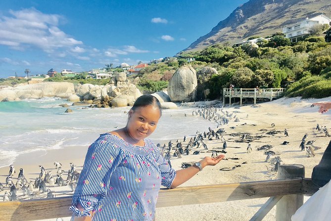 Private Tour: Boulders Beach Penguin Colony and Cape of Good Hope - Why a private Cape Peninsula day works so well