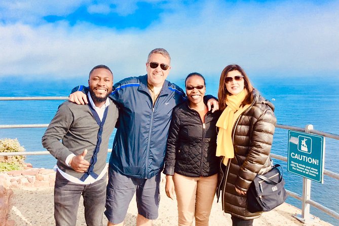 Private Tour: Boulders Beach Penguin Colony and Cape of Good Hope - Boulders Beach is the emotional high point