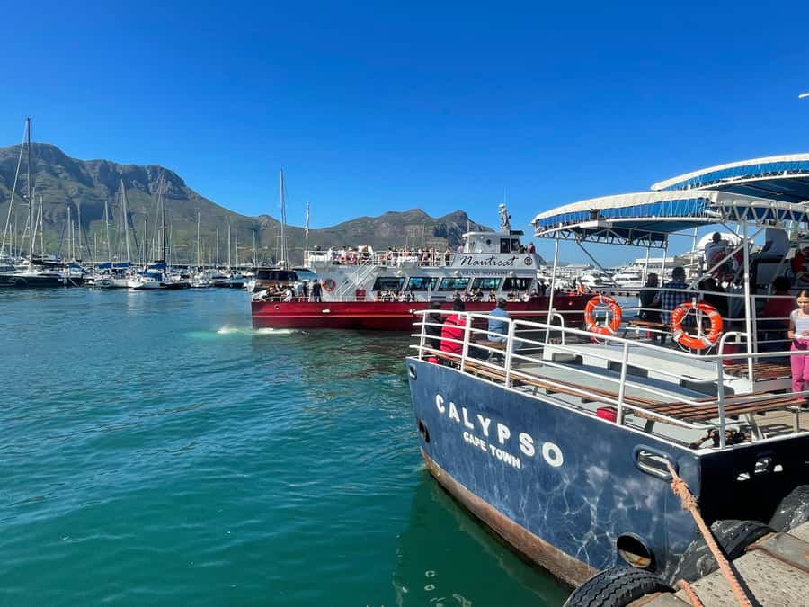 Private Tour:Cape of Good Hop>Chapman’s >Penguin>Seal island - The Cape of Good Hope photo stop